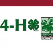 Michigan 4H